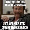 treeoflife-lds.jpg