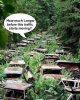 FB_IMG_1560155948204.jpg