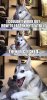 0B5AF494-9707-4B92-95EA-380311FB5DD2.jpeg