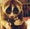 download (9).gif