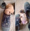 FB_IMG_1560420072306.jpg