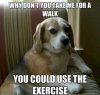 FB_IMG_1560724743570.jpg