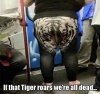FB_IMG_1561027514583.jpg