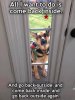 FB_IMG_1562926128833.jpg