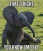 zsexy.jpg