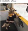 FB_IMG_1563364949227.jpg