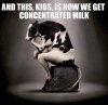 FB_IMG_1563860784219.jpg