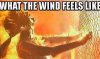 what-the-wind-hot-weather-meme.jpg