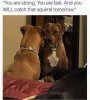 FB_IMG_1567251076485.jpg