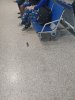 20190926_132654-1396x1861.jpg
