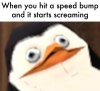 29be728.jpg