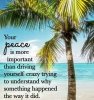 FB_IMG_1565740193618~3.jpg