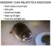 FB_IMG_1572244276332.jpg