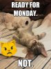 not ready for Monday.jpg
