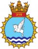 INAS_315_insignia.jpg