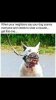 FB_IMG_1564275439350.jpg