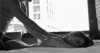 20200130_211215.gif
