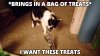 I··want···these··treats.jpg