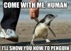 be80e6f2310e5e5bbbc0eb5f0c9ae628.jpg
