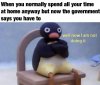 government-says-you-have-to-03-16-20.jpg