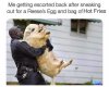 FB_IMG_1586093684988.jpg