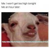 5ce2440ba4ebb.jpeg