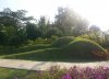 garden.JPG