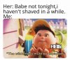 Shave.jpg