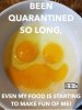 Eggs .jpg