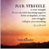 243b15a1b2ffb65c9f704ea358faff58--struggle-quotes-mcgill.jpg