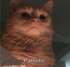 567a47bb9b178f9325c5c17951728e2ba6f036c3.png