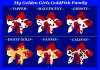 A 1 A A GOLDFISH AVATAR 1AB.jpg