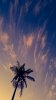 PSX_20200615_104550.jpg