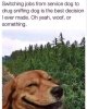 FB_IMG_1592391722118.jpg
