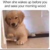 FB_IMG_1592737132127.jpg
