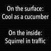 FB_IMG_1593322563007~2.jpg