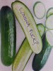 PSX_20200811_125047.jpg