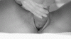 dicks-and-clits-xxx-gifs.gif