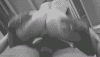 19374854.gif