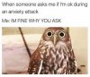 FB_IMG_1606348205773.jpg