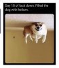 FB_IMG_1606822020409.jpg