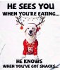 FB_IMG_1606953045732.jpg