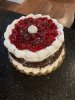 black forest cake.jpg