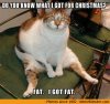 do-you-know-what-i-got-for-christmas-fat-i-got-fat-funny-merry-memes.jpg