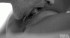 17542373.gif