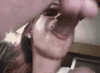 14492635.gif