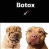 FB_IMG_1525551031840.jpg