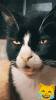 When-The-Catnip-Hits-Hard.gif