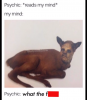 z-truth12.png