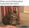AckX6gW.jpg
